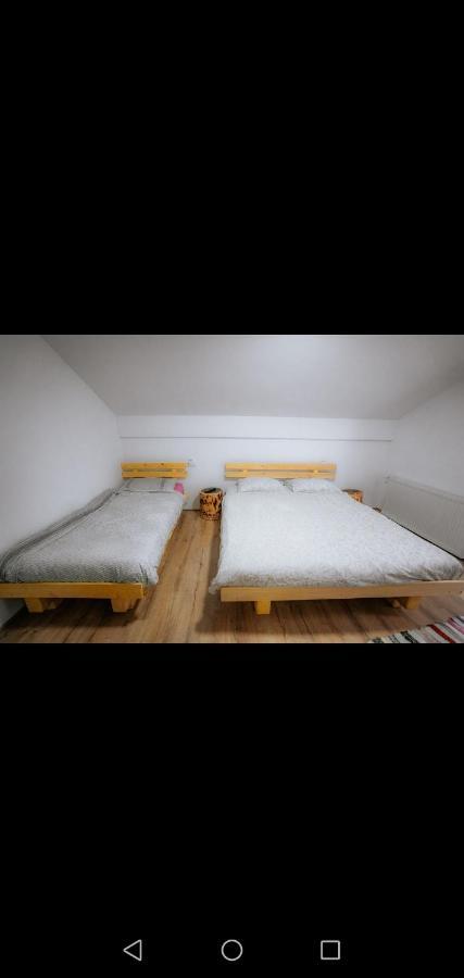 Hotel Casa Pietrosu Rodnei Borşa Esterno foto