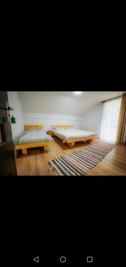 Hotel Casa Pietrosu Rodnei Borşa Esterno foto
