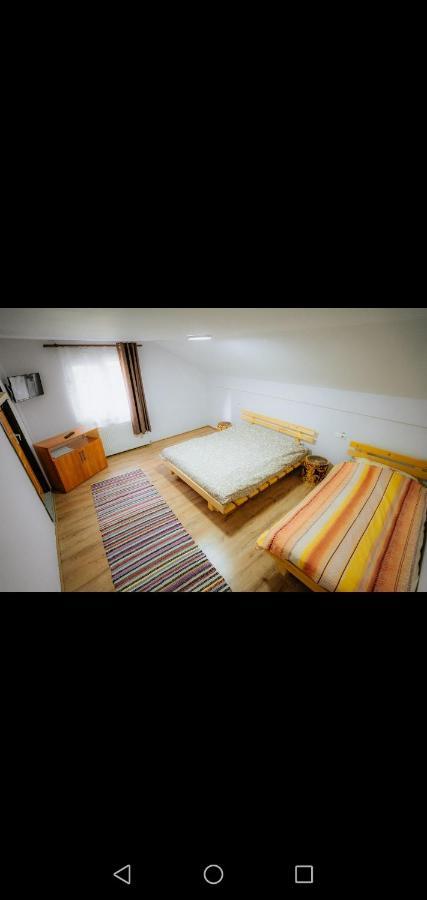Hotel Casa Pietrosu Rodnei Borşa Esterno foto