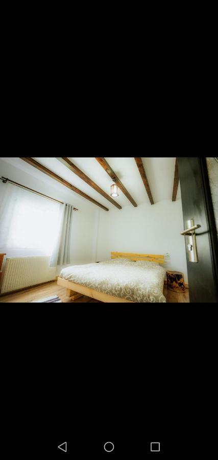 Hotel Casa Pietrosu Rodnei Borşa Esterno foto