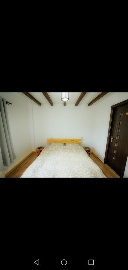 Hotel Casa Pietrosu Rodnei Borşa Esterno foto