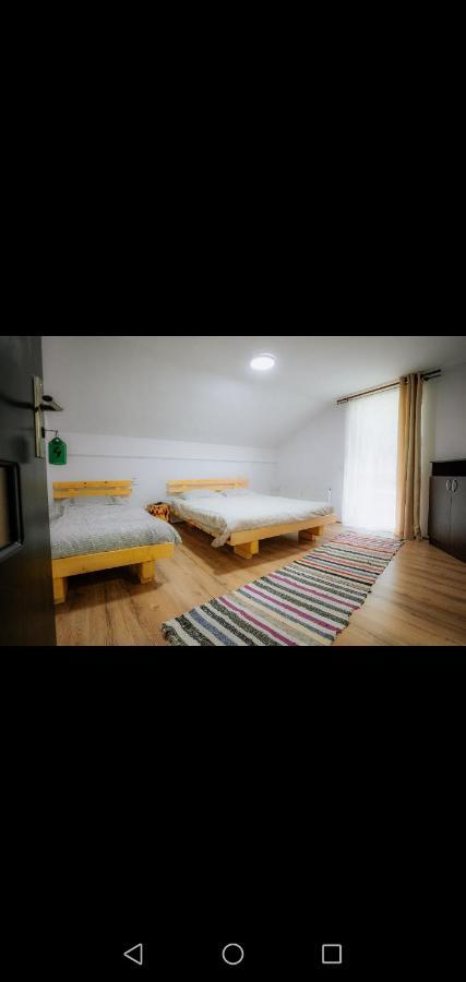 Hotel Casa Pietrosu Rodnei Borşa Esterno foto
