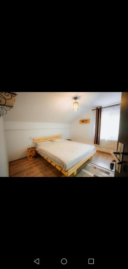 Hotel Casa Pietrosu Rodnei Borşa Esterno foto