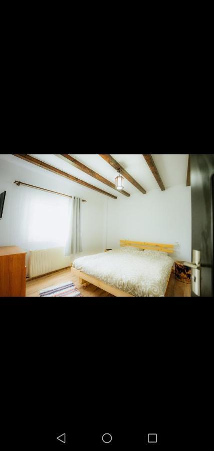 Hotel Casa Pietrosu Rodnei Borşa Esterno foto