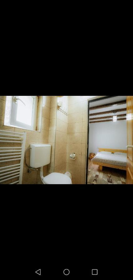 Hotel Casa Pietrosu Rodnei Borşa Esterno foto