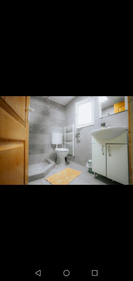 Hotel Casa Pietrosu Rodnei Borşa Esterno foto