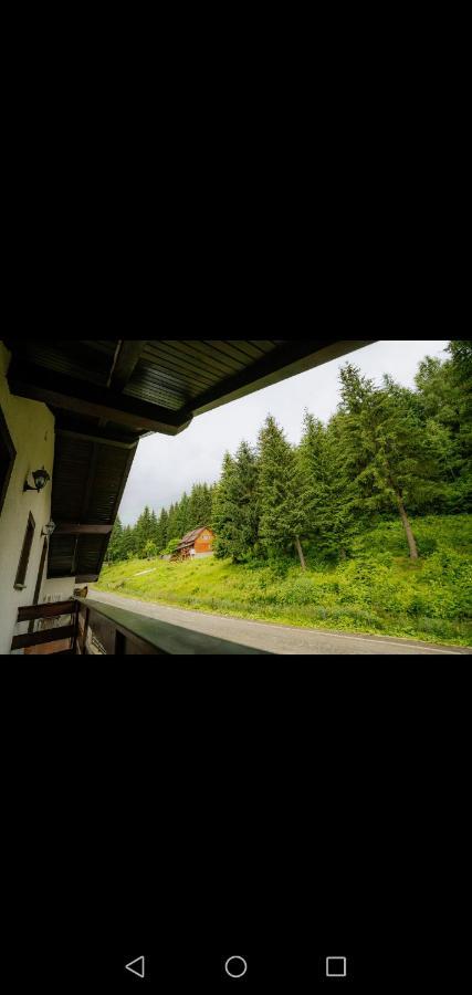 Hotel Casa Pietrosu Rodnei Borşa Esterno foto