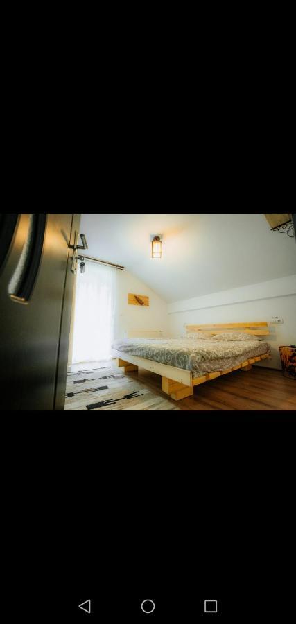 Hotel Casa Pietrosu Rodnei Borşa Esterno foto