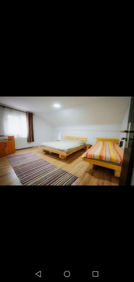 Hotel Casa Pietrosu Rodnei Borşa Esterno foto