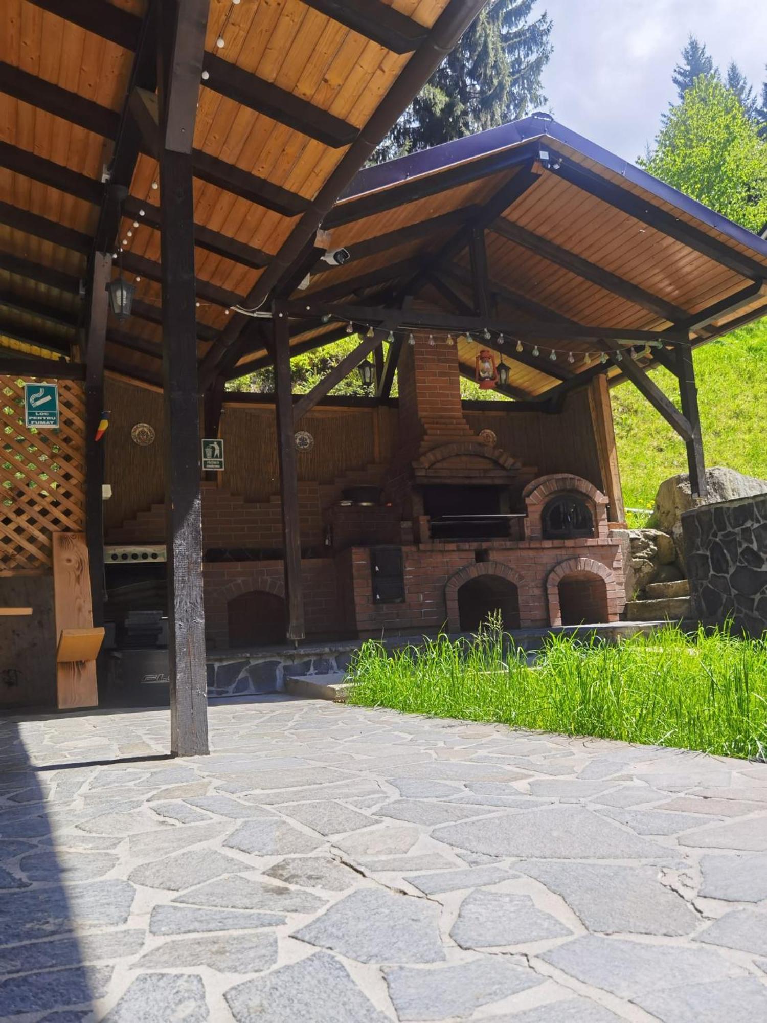 Hotel Casa Pietrosu Rodnei Borşa Esterno foto