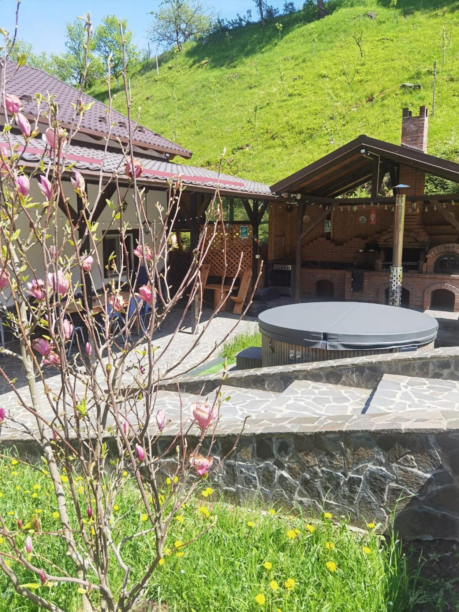 Hotel Casa Pietrosu Rodnei Borşa Esterno foto